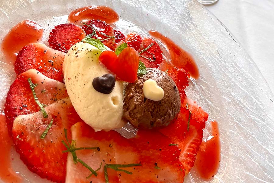 Galerie_900x600_Hanna--8